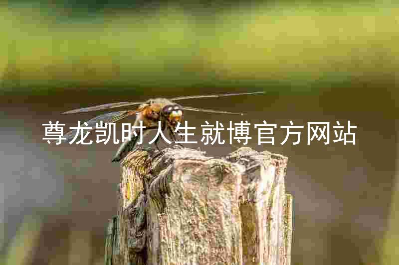 尊龙凯时人生就博官方网站