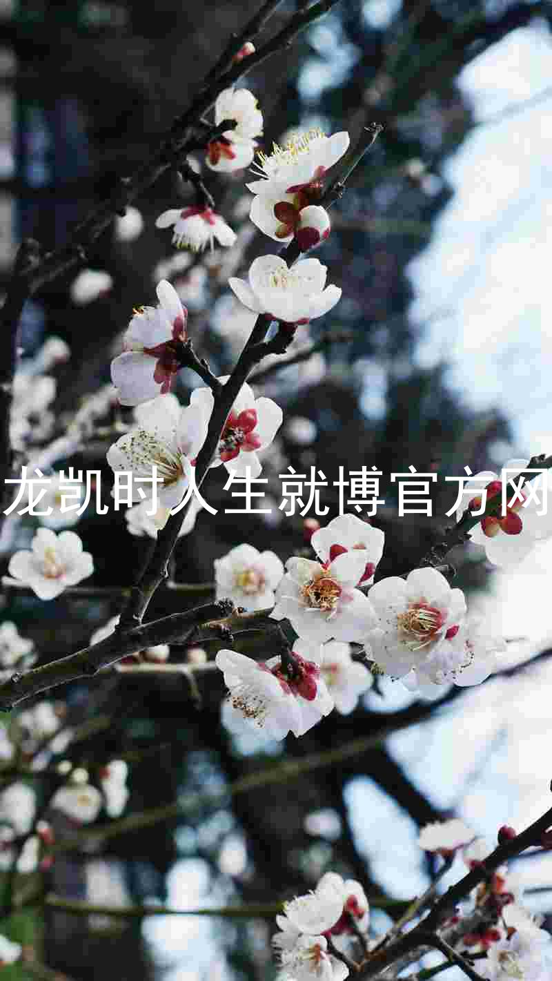 尊龙凯时人生就博官方网站