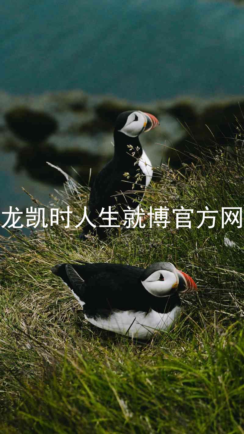 尊龙凯时人生就博官方网站